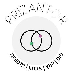 דרושים בפריזנטאור בע"מ